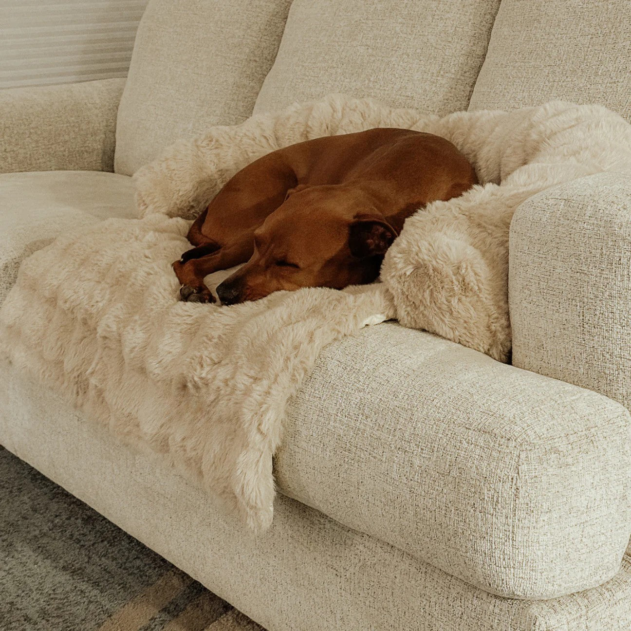 Lit Cosy Luxueux pour Animaux